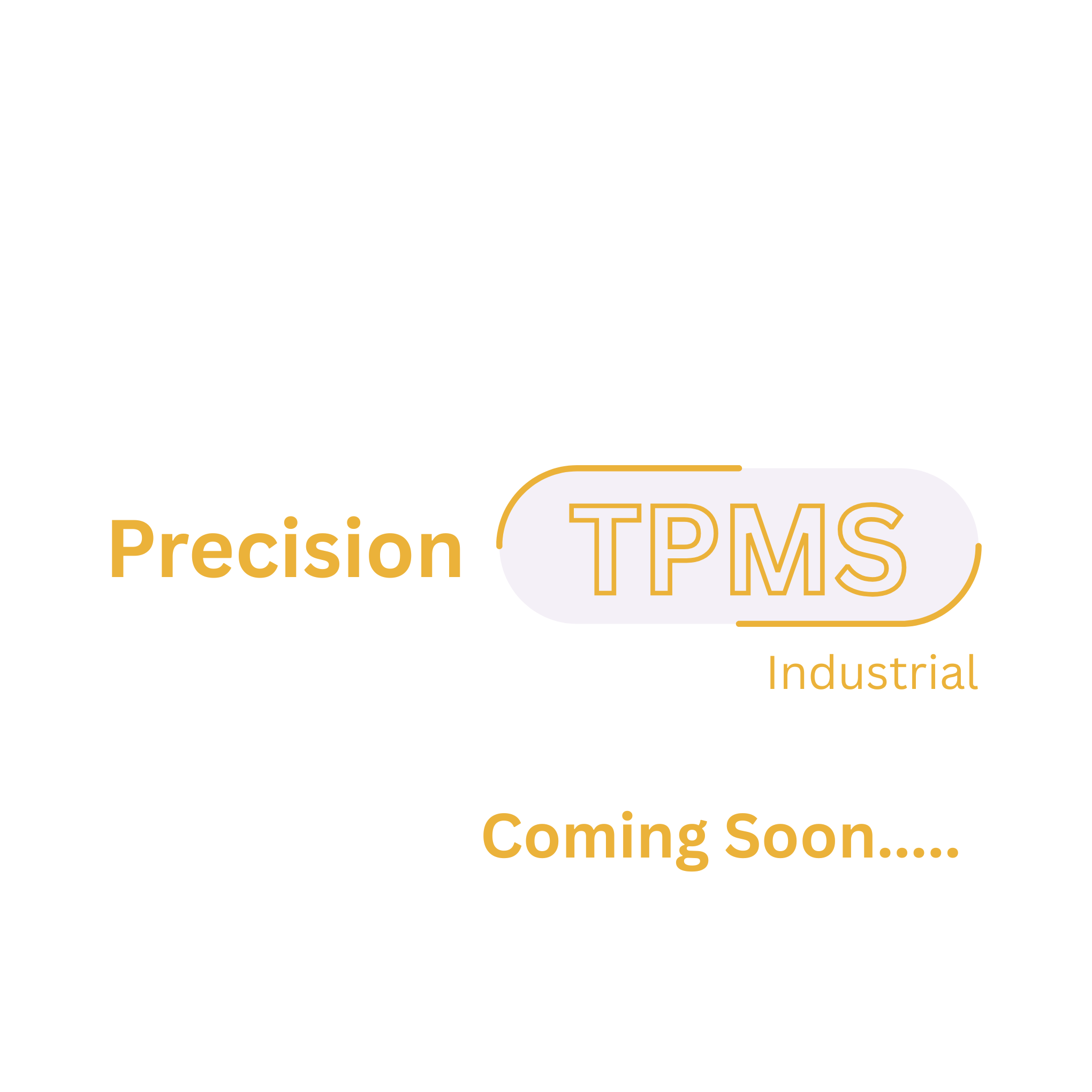 Precision TPMS - Industrial